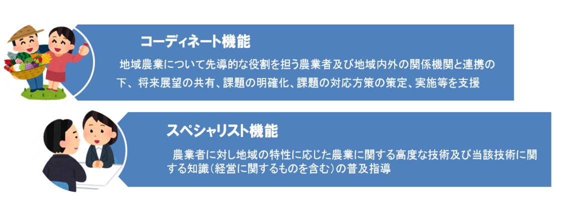 コーディネイト機能とスペシャリスト機能