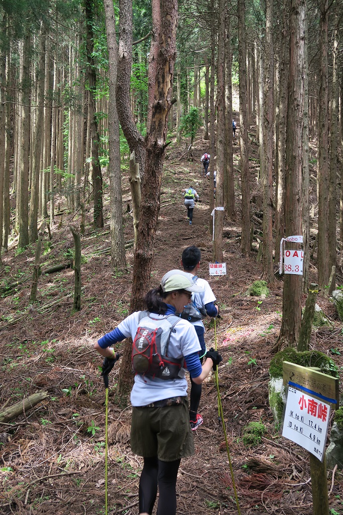 「Kobo（こうぼう）Trail（とれいる）2016」吉野山（よしのやま）・洞川（どろがわ）と高野山（こうやさん）を結（むす）ぶ弘法大師（こうぼうだいし）の道（みち）を走（はし）るトレイルランニングレース