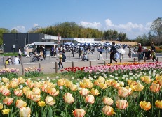 花見茶屋前の賑わい