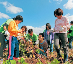 みんな笑顔でサツマイモを収穫