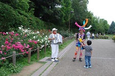 バラ園と大道芸