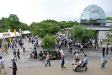 公園館前の賑わい