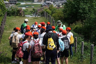 烏土塚古墳の墳丘の上で