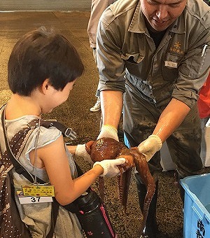 タコとのふれあいに喜ぶこども