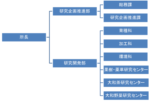 組織図