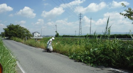 川をきれいにし隊