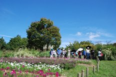 花みどりガイドツアー