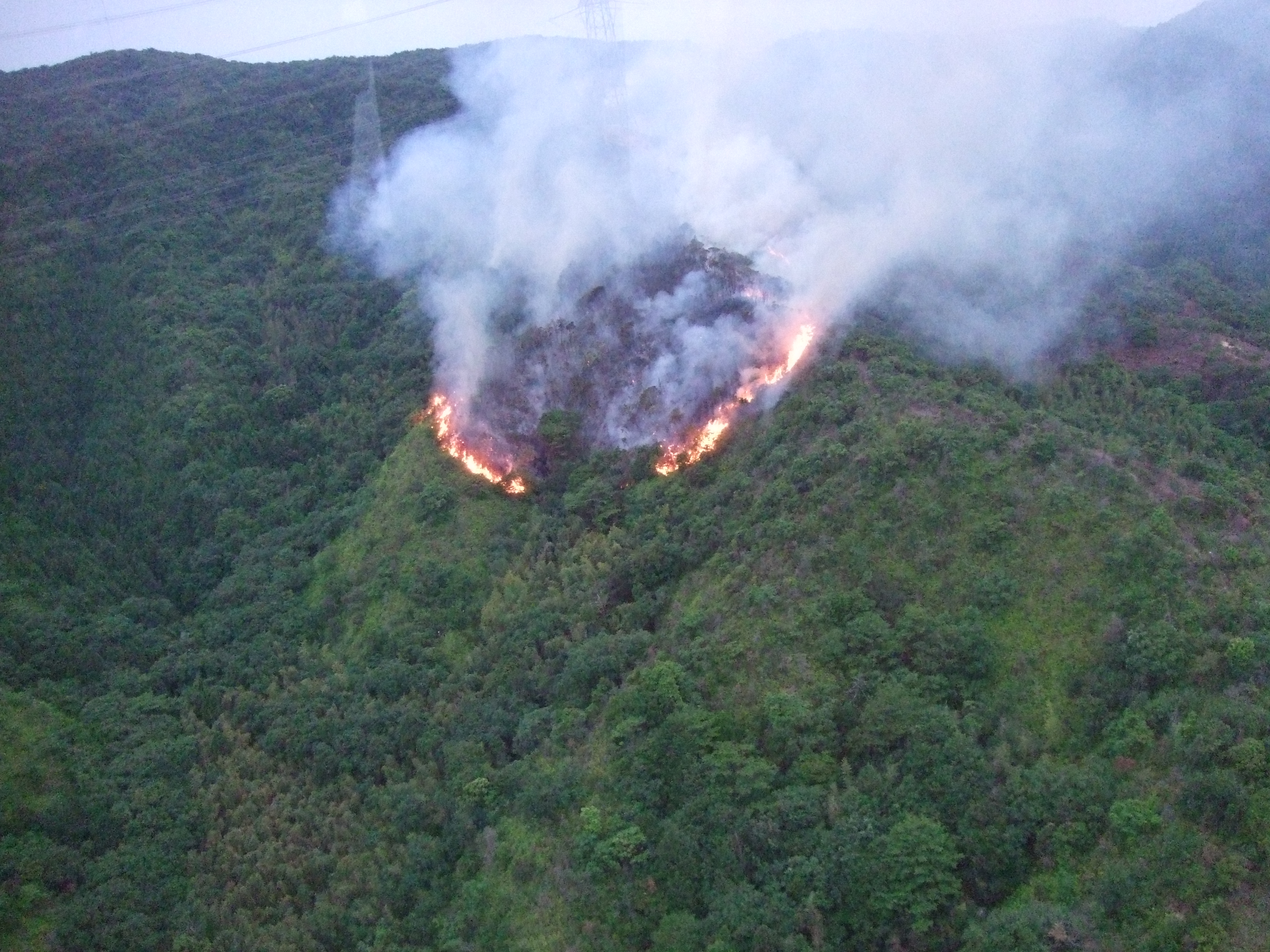 緊急現場（火災）