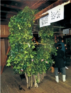 カズラに飾られたシキビなどは切る前に荒々しく取り払われる