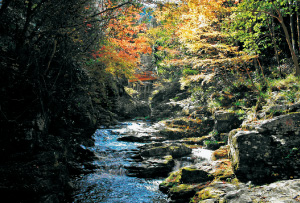 赤岩渓谷（黒滝村）