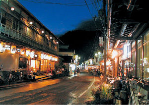 洞川温泉旅館街を眺望できる行者さん通り（天川村）