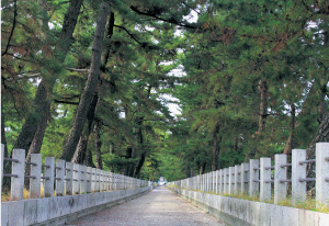 松並木が続く法隆寺南大門前(斑鳩町)