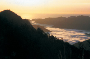 熊野灘、果無山脈が眺望できる玉置山展望台(十津川村)
