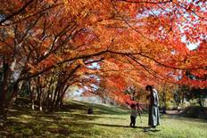 柿の木広場の紅葉