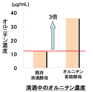 清酒中のオルニチン濃度は通常の3倍