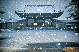 法隆寺 南大門雪景