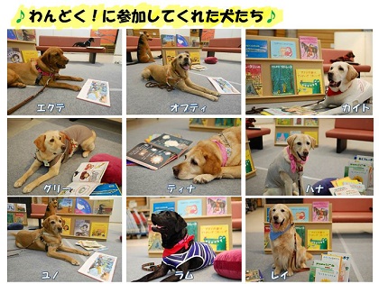 わんどく犬