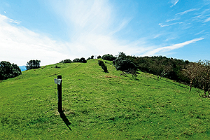 三峰山夏山