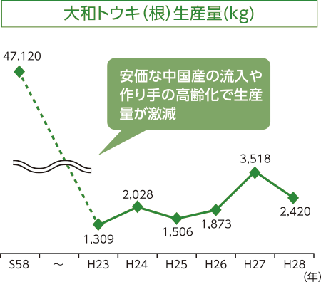 大和トウキ（根）生産量(kg)