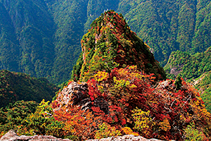 上北山村の大自然