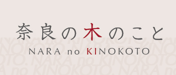 奈良の木のこと