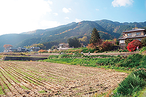 葛城山麓