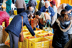 日本一の柿のまち五條市　柿の里まつり