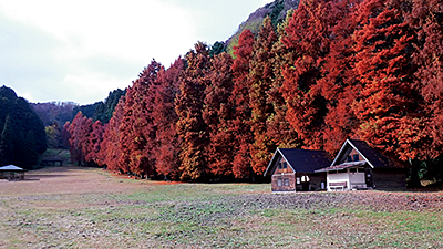 矢田山遊びの森