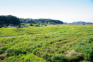 飛鳥京跡苑池