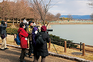 馬見丘陵公園の講習会 野鳥教室