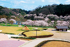 桜まつり