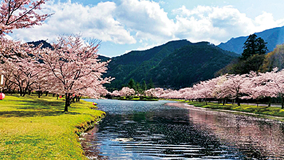 下北山村