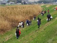 斑鳩町大和川