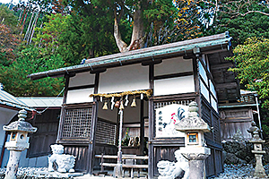 井光神社