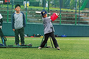 野球観戦・少年少女野球教室