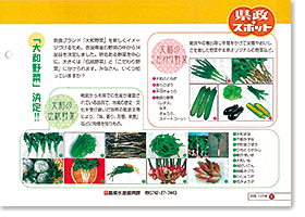 新たな奈良ブランド「大和野菜」認定