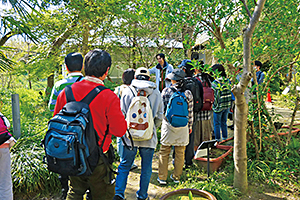 薬用植物見本園公開イベント