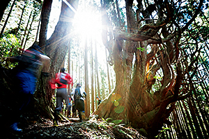 小辺路TRAIL JOURNEY in十津川