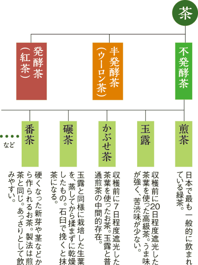 いろいろな「お茶」