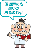 鳴き声にも違いがあるのじゃ！