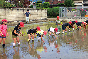 水資源の大切さを学習する活動