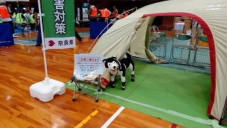 犬の飼育例