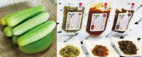 特産の「黒滝白きゅうり」と加工した漬物