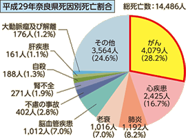 平成29年奈良県死因別死亡割合