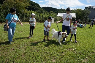 ほごいぬといっしょに