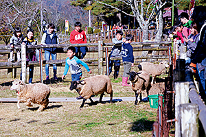 神野山ひつじまつり