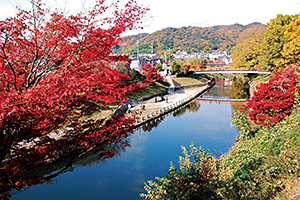 秋・初冬は美しい紅葉を眺めながら園内を散策！