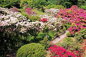 21世紀の森・紀伊半島森林植物公園