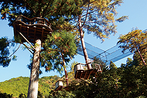 空中の村