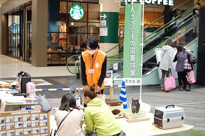 室内飼育展示